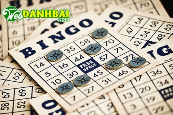 bingo là gì