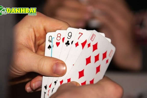 đánh bài phạt bao nhiêu